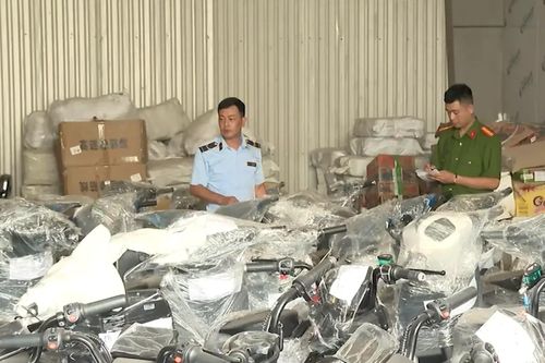 Triệt phá đường dây xe điện giả, lộ lỗ hổng quản lý