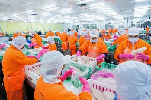 Cổ đông Nam Việt (ANV) sắp nhận gần 270 tỷ đồng cổ tức tiền mặt