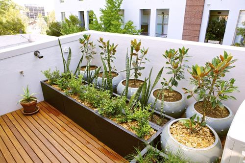 Thiết kế vườn trên sân thượng cần chú ý điều gì?