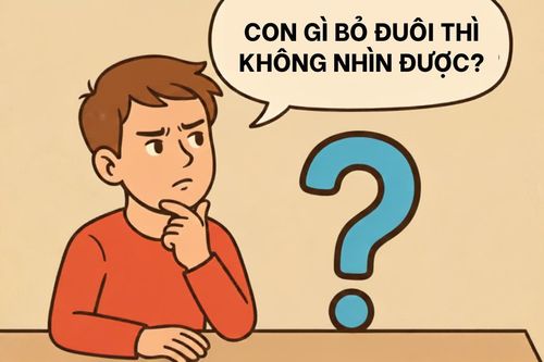 Con gì bỏ đuôi thì không nhìn được?