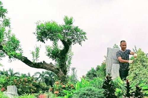 Hội Nông dân Gia Lâm đồng hành cùng hội viên phát triển kinh tế