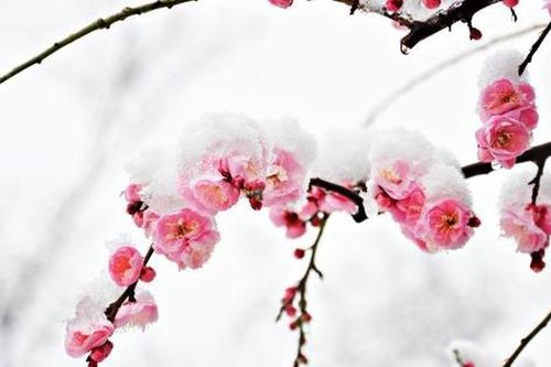 Số cuối ngày sinh Âm lịch của người tuổi trẻ phải trải qua nhiều sương gió