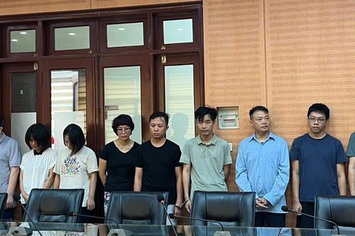 Danh tính 9 đồng phạm cùng Nguyễn Hòa Bình lừa đảo chiếm đoạt tài sản