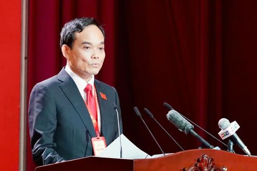Ông Trần Lưu Quang tiếp tục được chỉ định làm Bí thư Thành ủy TP Hồ Chí Minh