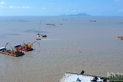 Cà Mau kiến tạo động lực mới, đón sóng đầu tư cho 'phát triển xanh'