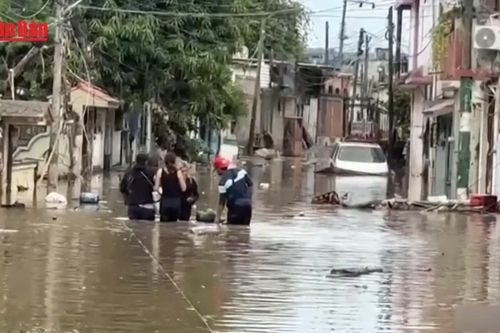 Mưa lớn kéo dài tại Mexico khiến gần 130 người thiệt mạng và mất tích