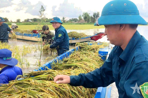 LLVT tỉnh Tây Ninh: Không ngại vất vả giúp dân lúc nguy nan