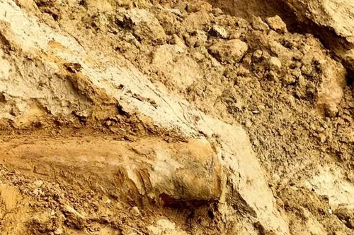 Bờ sông sạt lở để lộ quả bom dài 1,5m, cân nặng 200kg