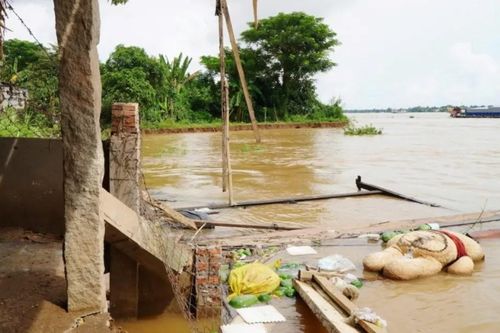 Đồng Tháp: Bờ sông Tiền tiếp tục sạt lở, ảnh hưởng 11 hộ dân