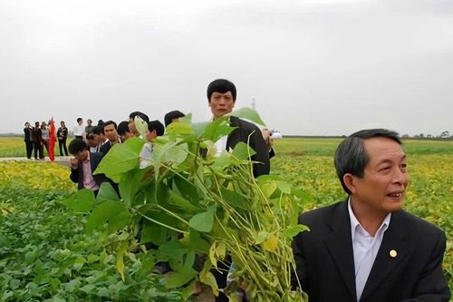 GS.TSKH Trần Đình Long, từ cánh đồng trung du tới công dân Thủ đô ưu tú