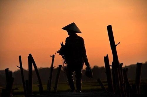 Cảm thụ văn học: Bình thường mà vĩ đại