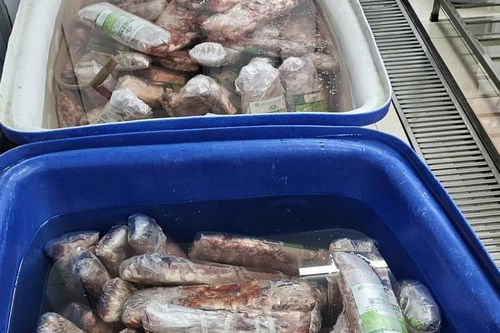 Khởi tố nhóm đối tượng bơm phụ phẩm vào thịt trâu 'phù phép' thành thịt bò WAGYU