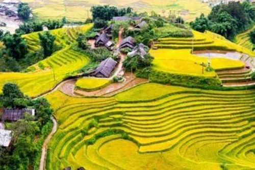 Du lịch Việt Nam tiếp tục ghi dấu ấn mạnh mẽ trên bản đồ du lịch toàn cầu