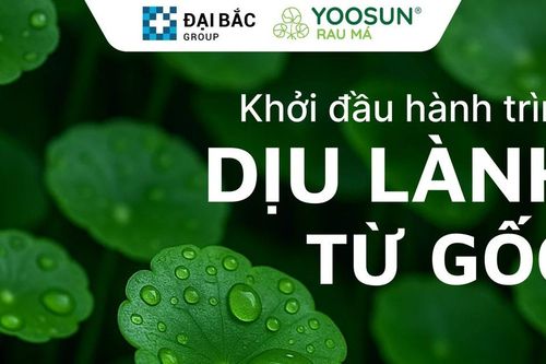Từ cây rau má nhỏ xinh đến các sản phẩm chăm sóc da 'quốc dân' của người Việt