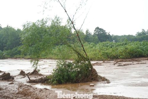 Xử lý nghiêm hành vi lợi dụng thiên tai xả thải chưa xử lý ra môi trường
