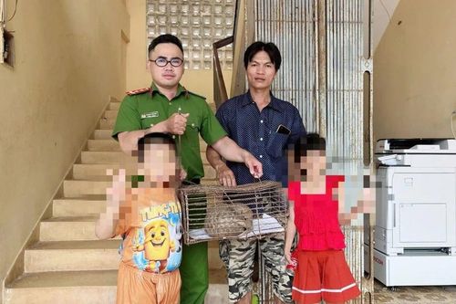 Người dân Quảng Ngãi phát hiện 2 cá thể 'lắm vảy' nằm trong Sách đỏ đi lạc