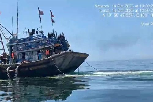 Bắt giữ 6 tàu cá