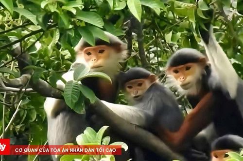 Huế thành lập khu bảo vệ cảnh quan Bắc Hải Vân