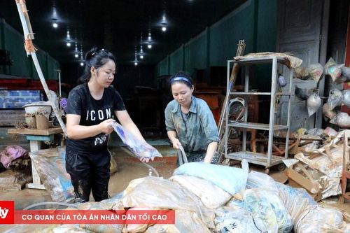 Gượng dậy sau cơn lũ