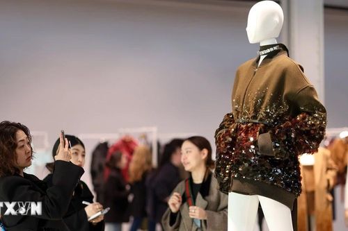 Gucci, Chloe và Loewe bị phạt hàng trăm triệu USD vì sai phạm về cạnh tranh