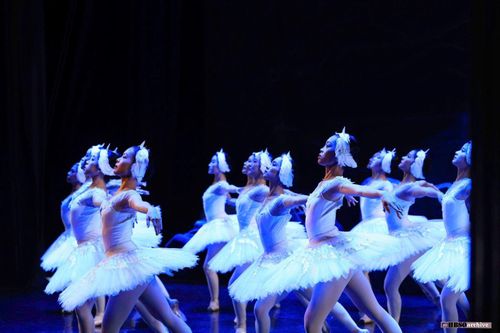 Mãn nhãn với cú xoay kinh điển trong vở ballet 'Hồ thiên nga'