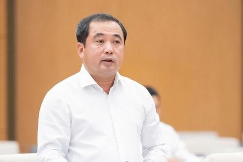 Bổ sung các quy định riêng về quản lý, chế biến và sử dụng đất hiếm