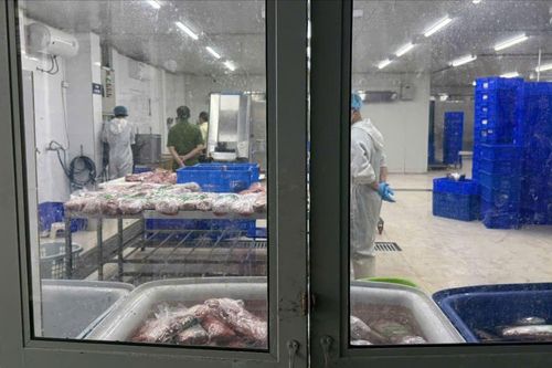 Thu giữ 65 tấn thịt trâu giả bò Wagyu