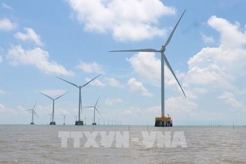 Cà Mau sẽ có thêm 61,5 triệu kWh điện gió vào cuối năm 2026