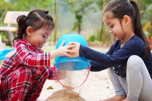 Cải tạo cảnh quan bờ vở sông Hồng: Từ 'vùng trũng' đô thị đến sáng kiến hợp tác đa tầng