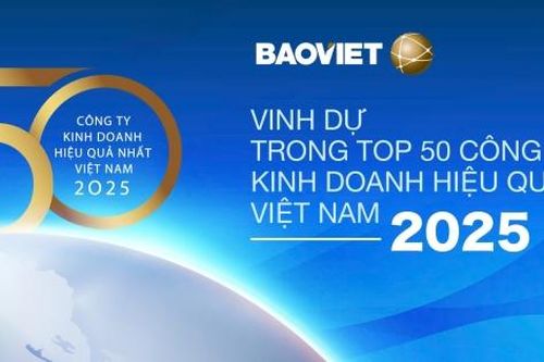 Bảo Việt (BVH): Top 50 Công ty kinh doanh hiệu quả nhất Việt Nam 2025