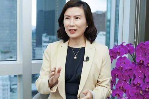 Chứng khoán Việt vẫn chưa trưởng thành do phụ thuộc vào nhà đầu tư nhỏ lẻ, thiếu chuyên môn