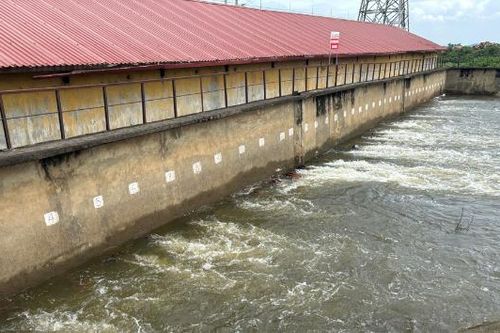 Bắc Ninh: Huy động 314 tổ máy bơm tiêu chống úng