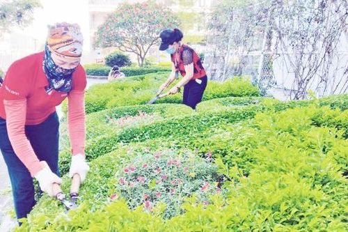 Xây dựng công sở xanh - sạch - đẹp: Tạo môi trường làm việc văn minh