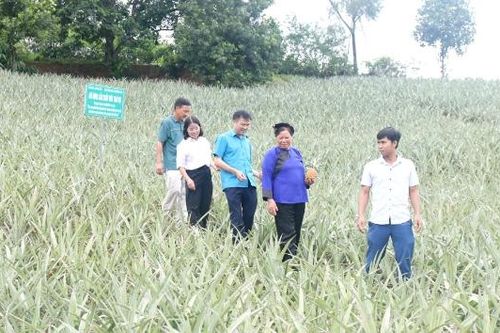 Bắc Ninh: Đến tháng 10/2025, toàn tỉnh có 668 sản phẩm OCOP