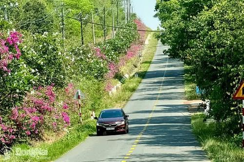 Nông dân là chủ thể xây dựng nông thôn mới