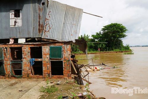 Đồng Tháp: Sạt lở bờ sông Tiền thuộc xã cù lao Tân Long