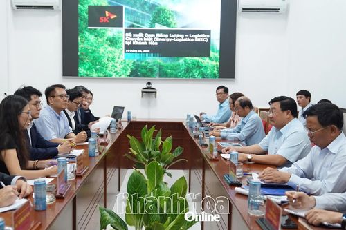 Phó Chủ tịch UBND tỉnh Trịnh Minh Hoàng làm việc với Tập đoàn SK (Hàn Quốc)