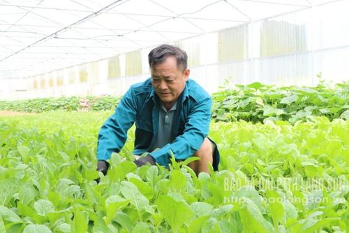 Hợp Nhất đi lên
