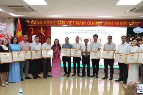 Hiệp hội doanh nghiệp tỉnh kỷ niệm Ngày Doanh nhân Việt Nam