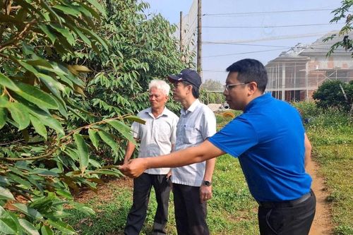Khi người dân đồng tình giải phóng mặt bằng vì lợi ích của dự án