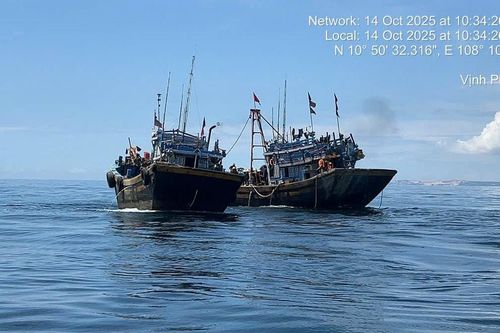 Liên tiếp bắt giữ tàu cá giã cào bay vi phạm vùng biển Lâm Đồng