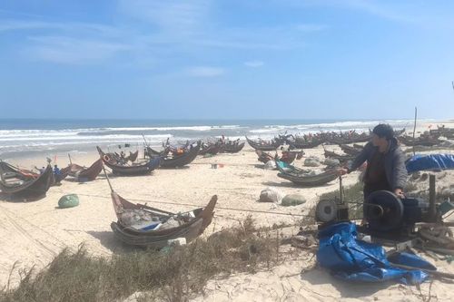 Ngăn chặn triệt để đánh bắt thủy sản tận diệt ven bờ