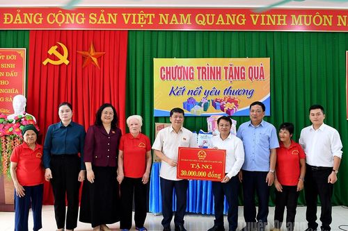 Ủy ban Văn hóa và Xã hội của Quốc hội thăm, tặng quà tại Trung tâm Công tác xã hội và Quỹ Bảo trợ trẻ em tỉnh