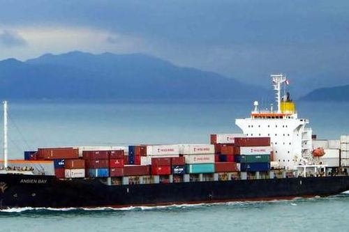 Mở cơ hội phát triển đội tàu container