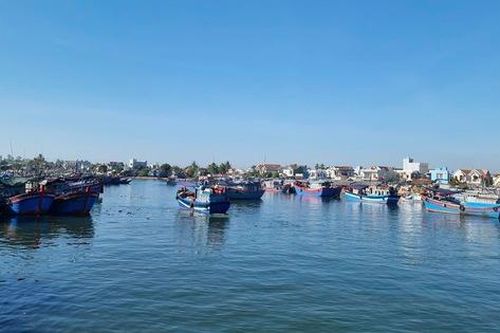 Đơn giản hóa thủ tục, số hóa quy trình quản lý cảng, bến thủy nội địa