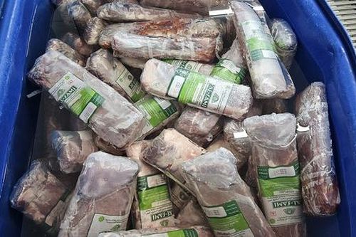 'Phù phép' trâu Ấn Độ thành bò WAGYU bán 600.000 đồng/kg
