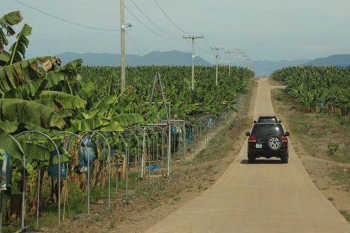 HAGL hoán đổi nợ thành vốn góp tại công ty con