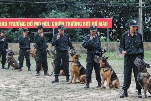 Phát huy vai trò của động vật nghiệp vụ trong đấu tranh phòng, chống tội phạm, tìm kiếm cứu nạn