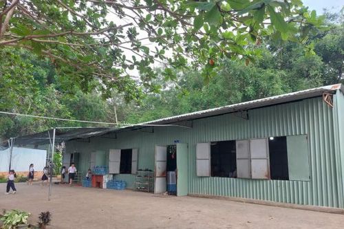 TP Hồ Chí Minh: Nhiều hạng mục công trình trường học xuống cấp nghiêm trọng