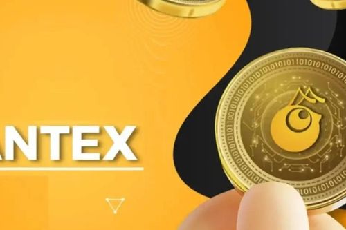 Bài học pháp lý từ đầu tư tài sản ảo